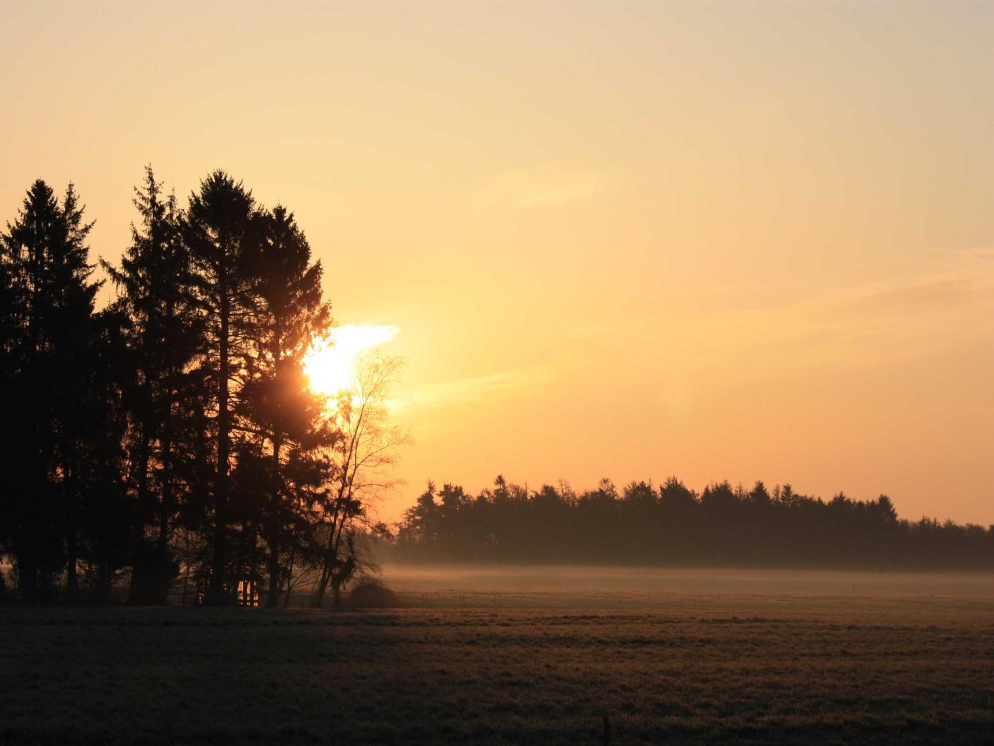 Herzfeldhof Worpswede Dış mekan fotoğraf